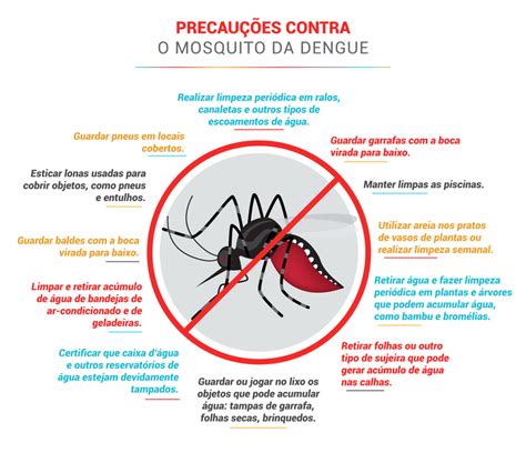 Quanto Tempo Demora Para As Plaquetas Subirem Depois Da Dengue