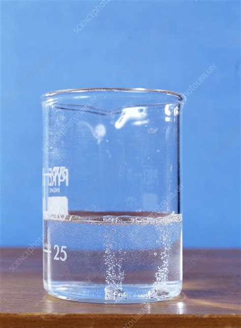 The energy of the products is less than that of the reactants so the a b c e which of the following correctly represents this reaction? Magnesium reacting with water - Stock Image - A500/0369 ...
