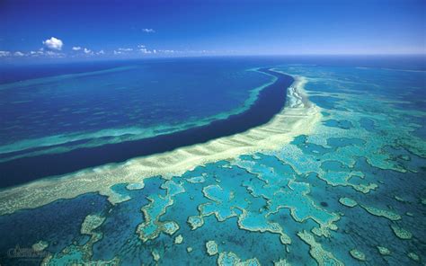 Great Barrier Reef Australia Great Barrier Reef Barrier Reef