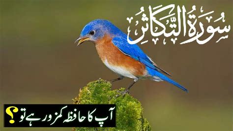 Surah Takasur With Urdu Translation Quran Surah Takasur Youtube