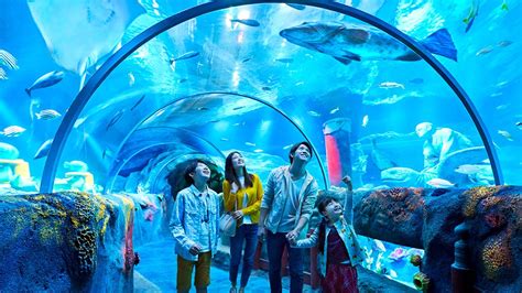 Sea Life Malaysia On Track To Launch By The First Half Of