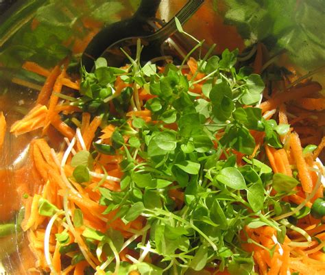 Go Wild With Edible Weeds And Seasonal Veggies In Two Winter Salad