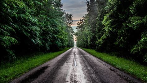 Road Between Green Grass Field And Trees Hd Nature