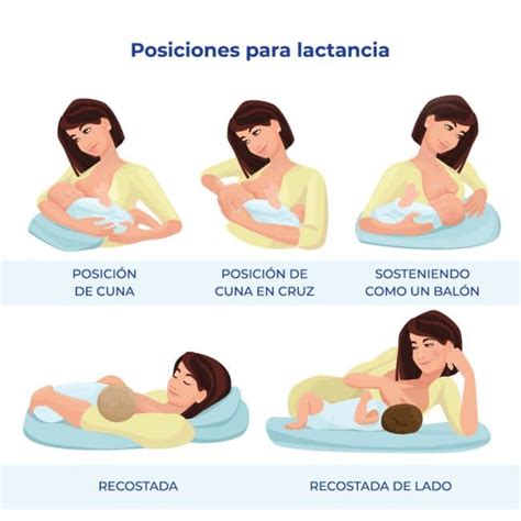 Posturas Y Posiciones Para Amamantar Alba Lactancia Materna The Best