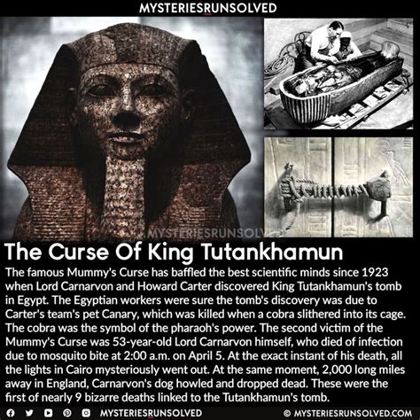 the curse of pharaoh tutankhamun in 2021 true interesting facts creepy facts interesting