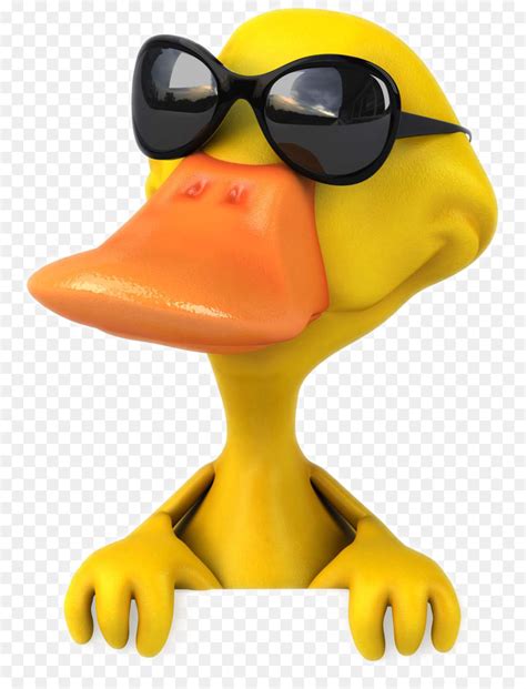 Duck With Sunglasses Clipart 10 Free Cliparts Download Images On