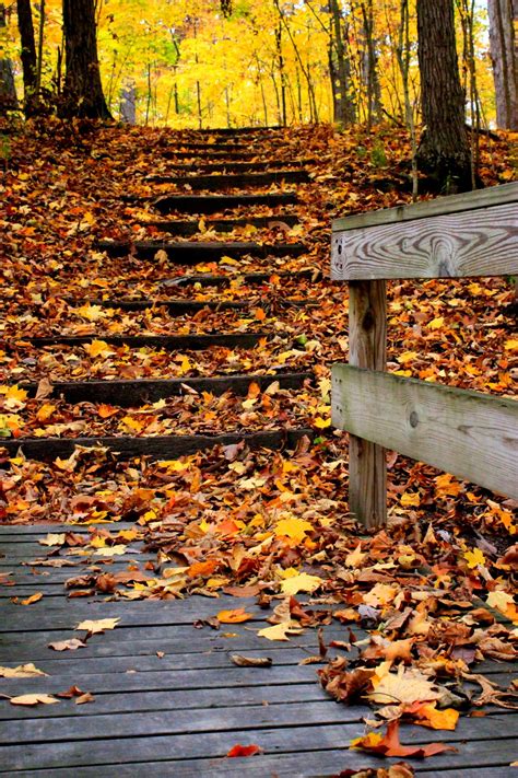 Hiking in the beautiful fall scenery | Autumn scenery, Scenery, Beautiful fall