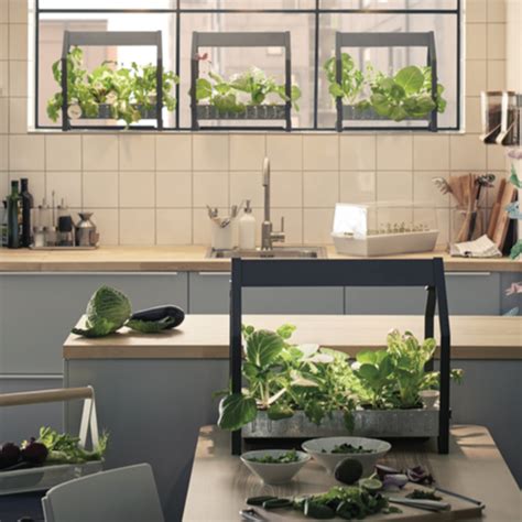 Ikea has launched its new indoor gardening product into stores, bringing home hydroponics to a larger market (+ slideshow). Ikea launches hydroponic indoor gardening kit