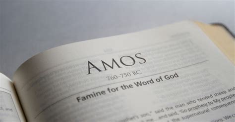 Why Read The Book Of Amos The Purpose And Lessons From Amos