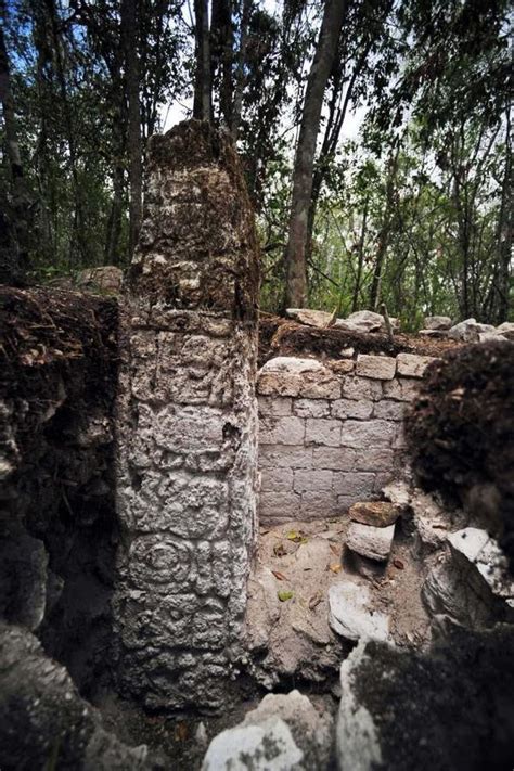 Photos Une Cité Maya Découverte Au Mexique