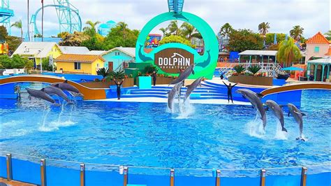 June 2022 Dolphin Adventures Full Show Seaworld San Diego Youtube