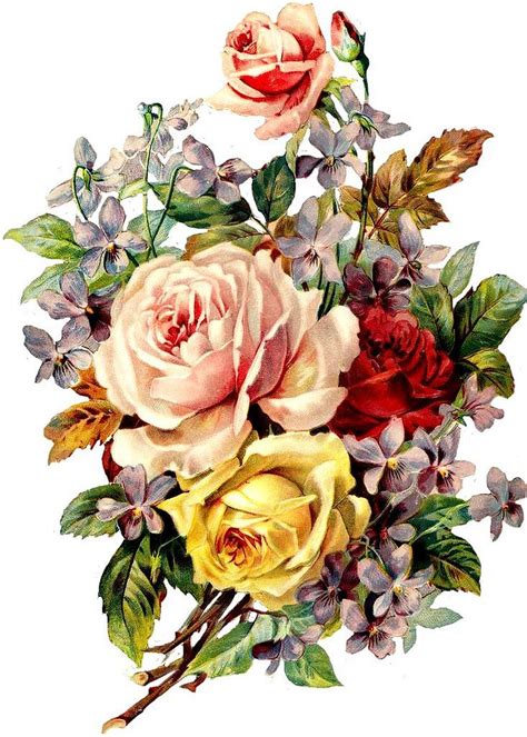 Vintage Roses Print Vintage Flowers Victorian Flowers Vintage Roses