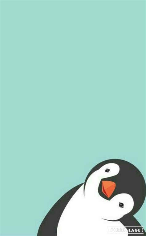 Cute Penguin Wallpapers Top Hình Ảnh Đẹp