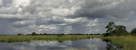 Wetlands Habitats Wwf