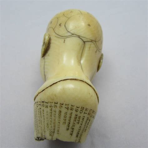 A Rare English Carved Ivory Phrenology Head Fleaglass