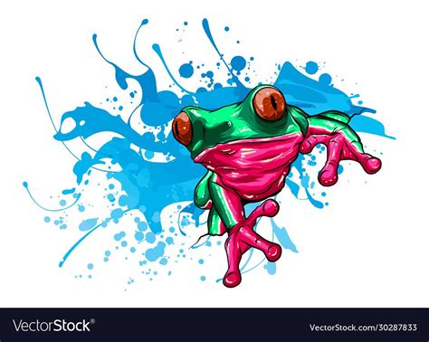 Animal Red Frog With Flower Vector Image On Vectorstock Frog Art