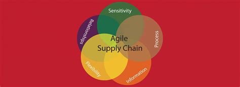 Agile Supply Chain Model