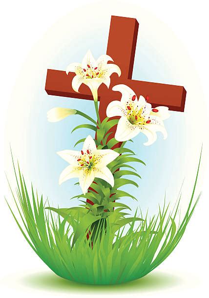 Best Easter Lily Illustrations Royalty Free Vector Graphics And Clip Art