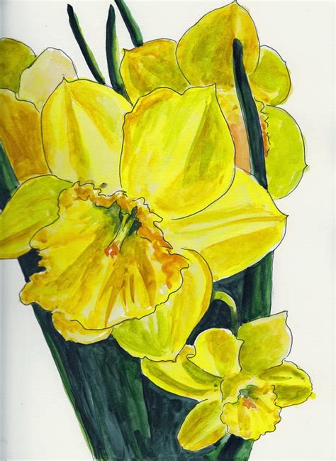 Daily Painters Marketplace Daffodil Watercolor Painting