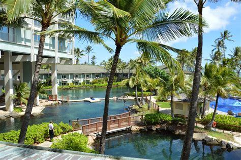 Honolulu Weddings Kahala Resort Dolphin Pools