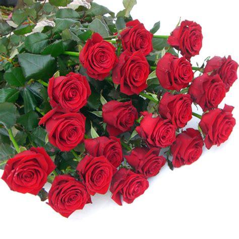 Sorprendi chi ami con questo bouquet di 20 rose rosse a domicilio e dichiara il tuo amore sincero. Mazzo di rose a gambo lungo. | Fioreria del Corso - Fiori ...