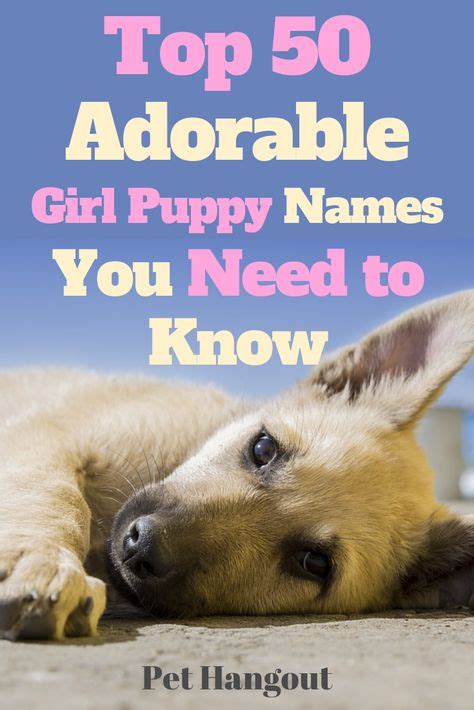 100 Best Female Dog Names Ideas Female Dog Names Dog Names Puppy Names