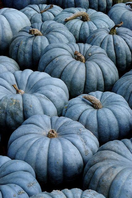 Real Blue Pumpkin Raising Awareness About Food Allergies In Children