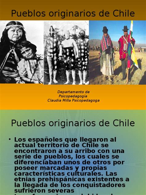 Pueblos Originarios De Chile Pdf Pueblos Indígenas De Las Américas