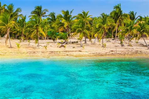 Wallpaper Landscape Sea Bay Water Nature Sand Beach Palm Trees