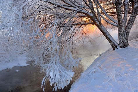 Wallpaper Sunlight Trees Landscape Reflection Snow Winter