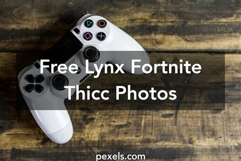 10 Interesting Lynx Fortnite Thicc Photos · Pexels · Free Stock Photos