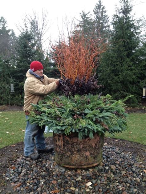 Winter Container Gardening Deborah Silver And Co