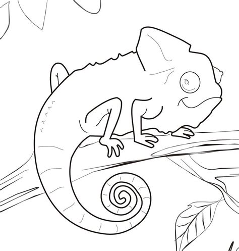 Chameleon Coloring Pages Best Coloring Pages For Kids Zoo Animal