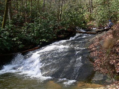 24 stunning waterfalls in south carolina congaree national park angel oak fall creek rainbow