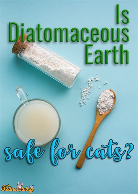 Take note of the number of servings in the bag and multiply that by how much of a dosage your cat needs. Is Diatomaceous Earth Safe For Cats? 2020 Review