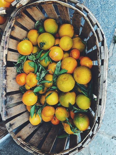 Orange Fruits In Blue Plastic Basket Photo Free Citrus Fruit Image On