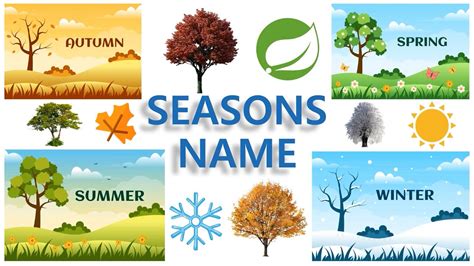 Learn Seasons Name Seasons In The Year Name Of Four Seasons