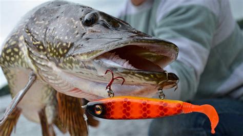 The 10 Best Pike Lures For A Good Catch