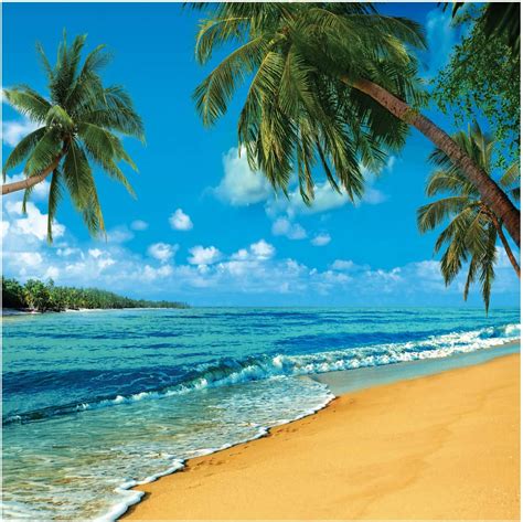 Sjoloon 10x10ft Beach Summer Holidays Photo Backgrounds Coconut Trees