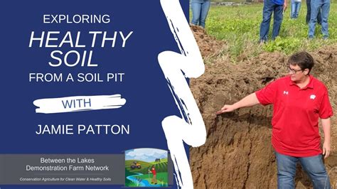 Exploring Healthy Soil From A Soil Pit With Jamie Patton Youtube