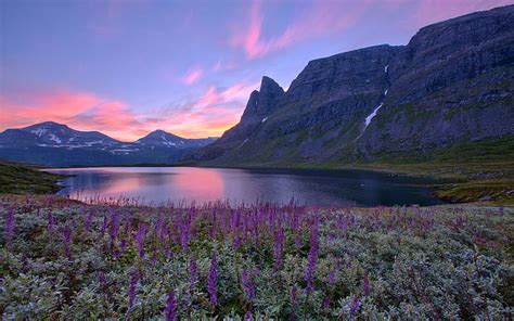 Hd Wallpaper Norway Nature Scenery Lake Mountains Flowers Sunrise