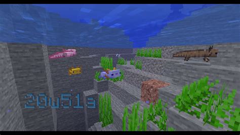 Minecraft Snapshot 20w51a Axolotls Youtube