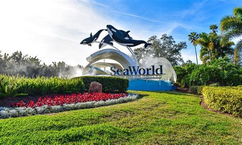 Virgin Holidays Stops Selling Tickets To Seaworld Discovery Cove And