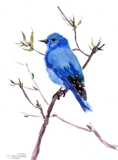 Mountain Bluebird Original Watercolor Painting 12 X 9 In Etsy Blue
