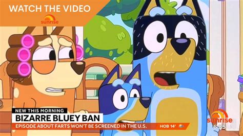 Bluey Fart Episode Will Not Air In The Us 7news