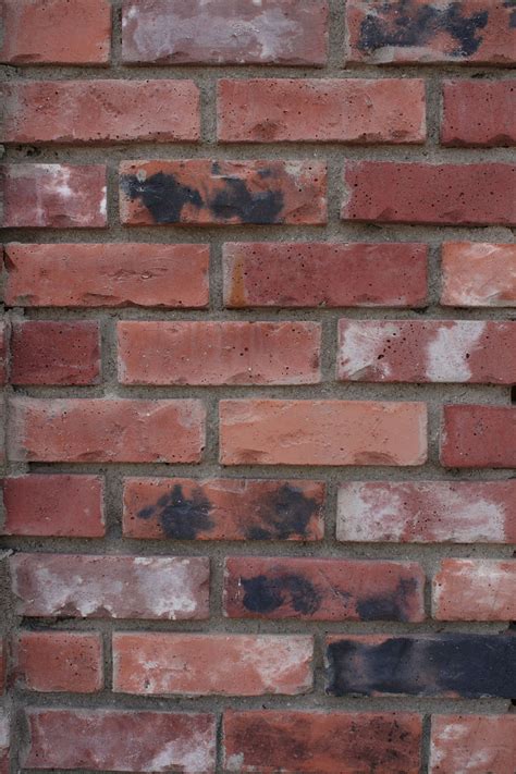 Distressed Red Brick Wall Free Stock Photo Public Domain Pictures