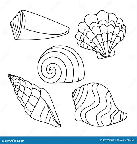 Vector Illustration Set With Simple Shell Silhouettes Drawing Of