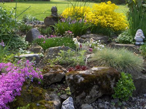 Rock garden plants are typically low growing plants that are drought resistant and tend to grow in clumps. Busy Bee: In the rock garden