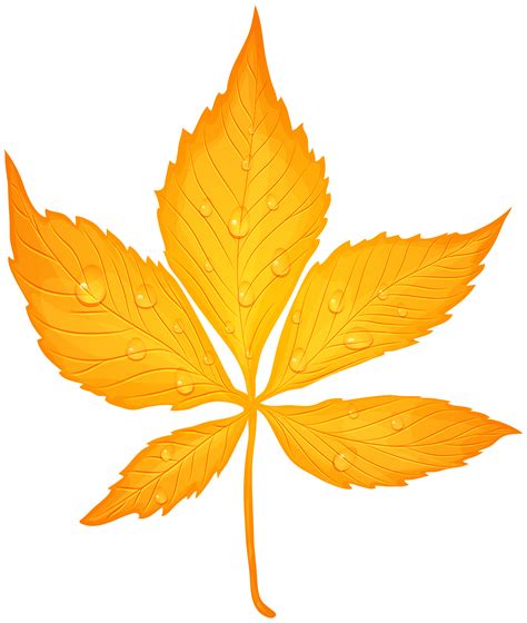 Yellow Leaf Clipart Free Clipart Images Clipartix
