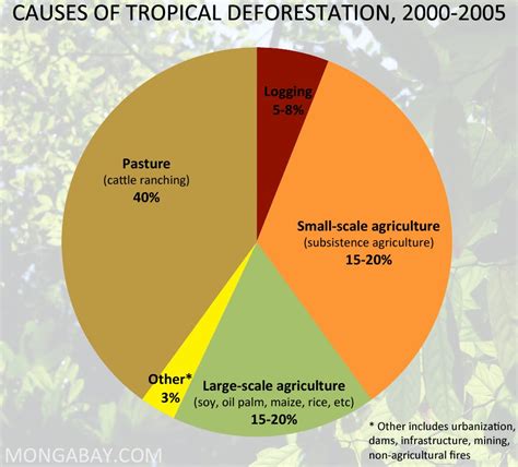 Deforestation In Madagascar